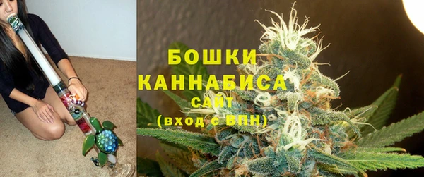 индика Горно-Алтайск