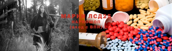 эйфоретик Аркадак